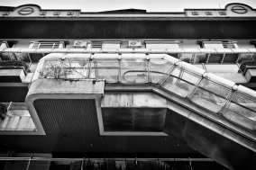 FQ8A5755_bw_2.jpg