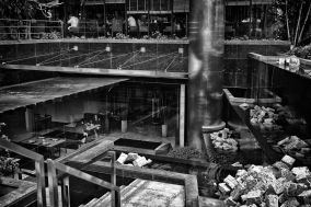 R48A5261_bw_2.jpg