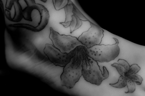 Bodyparts and Tatoos