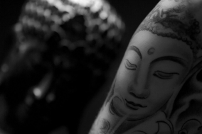Bodyparts and Tatoos