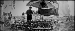 Panorama Cambodia