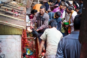 Dashain Festival at Dachhin kalimandir