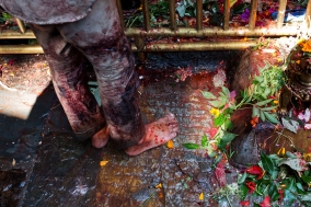 Dashain Festival at Dachhin kalimandir
