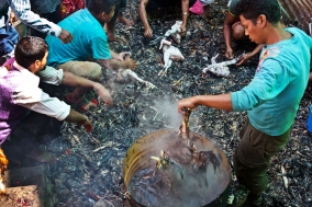 Dashain Festival at Dachhin kalimandir