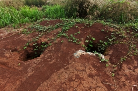 Zircondigging