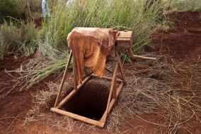 Zircondigging