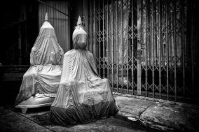 Glimpses of a Nightmare