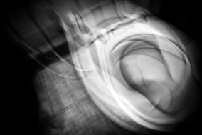 Glimpses of a Nightmare