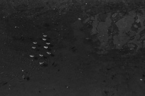 R48A8376_bw.jpg