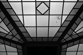 R48A9368_bw.jpg