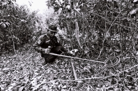 Mines and Victims in Cambodia