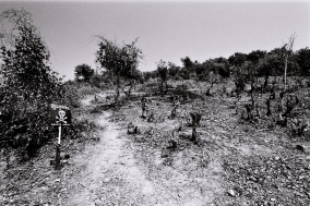 Mines and Victims in Cambodia