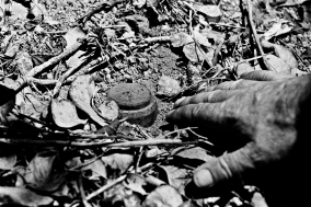 Mines and Victims in Cambodia