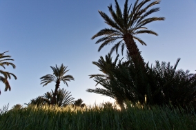 South Morocco