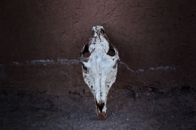 South Morocco