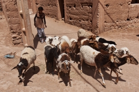 South Morocco