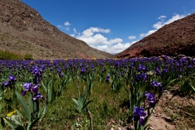 South Morocco