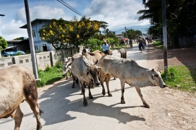 Myanmar 2005