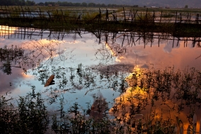 Myanmar 2005