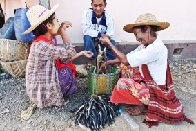 Myanmar 2005