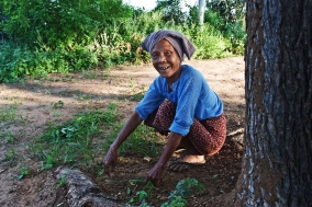 Myanmar 2005