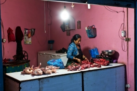 Nepal Travel