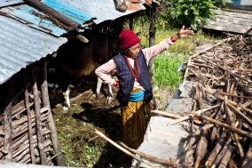 Nepal Travel