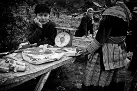 North Vietnam; 2004;