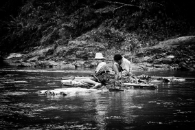 North Vietnam; 2004;