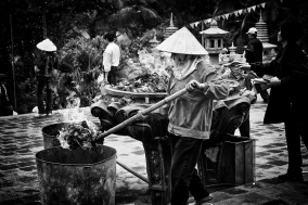 North Vietnam; 2004;