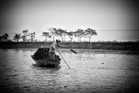 North Vietnam; 2004;