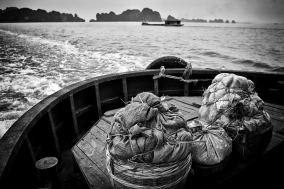 North Vietnam; 2004;