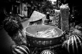 North Vietnam; 2004;