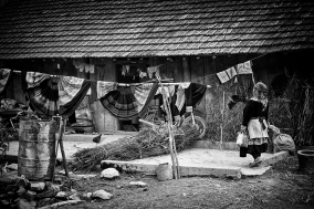 North Vietnam; 2004;