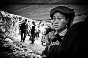 North Vietnam; 2004;