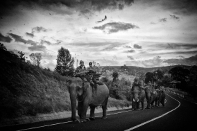 On the Road