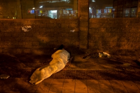 Phnom Penh Nights