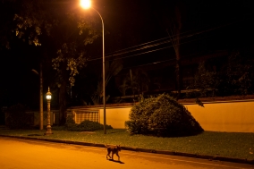 Quiet Nights in Siem Reap
