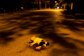 Quiet Nights in Siem Reap