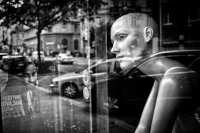 Reflections of Vienna