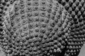 Stonecarvers