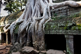 Temples in Cambodia