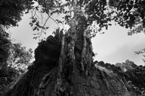 Temples in Cambodia