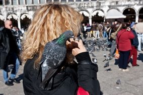 Venecia